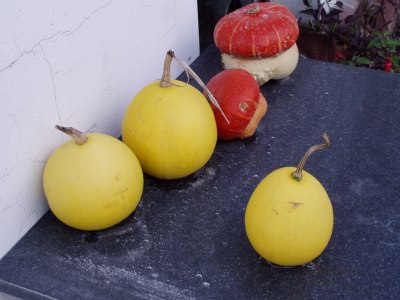 jesienny stolik