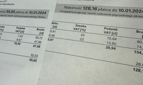 Ceny energii zamrożone do końca czerwca 2024 roku. Powrót do taryf powinien się odbywać stopniowo [DEPESZA]